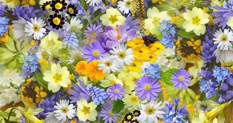 Fête des Plantes, du Jardin et de la Nature Fête des Plantes, du Jardin et de la Nature