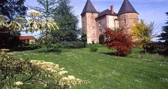 Gite" La Grange Neuve" à Champagnac La Riviere en Haute-Vienne, le chateau de Brie _45