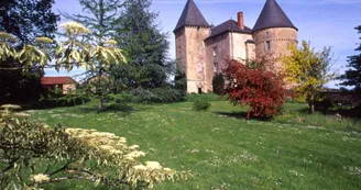 Gite" La Grange Neuve" à Champagnac La Riviere en Haute-Vienne, le chateau de Brie _44 Gite" La Grange Neuve" à Champagnac La Riviere en Haute-Vienne, le chateau de Brie _44