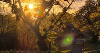 Coucher de soleil 2
