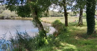 Gite de la Petite Lisonne - commune de Marval en Haute-vienne - Limousin - _30