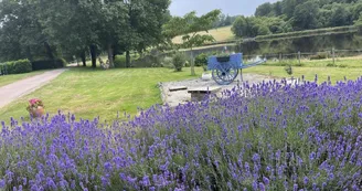 Gite de la Petite Lisonne - commune de Marval en Haute-vienne - Limousin _36