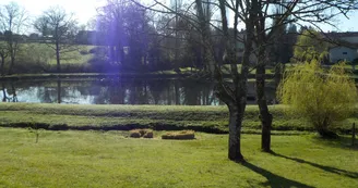 Etang - Location Saint-Brice-sur-Vienne