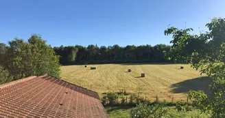 Le Gîte d'Élise à Cussac en Haute-Vienne (Nouvelle Aquitaine)_42